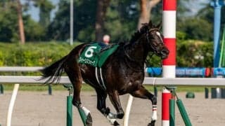 【新潟記念】クイーンズウォークが馬場入場でアクシデント、まさかの競走除外