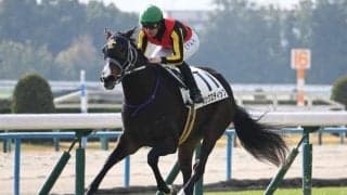 【紫苑S】リンクスティップ、テリオスララらが登録