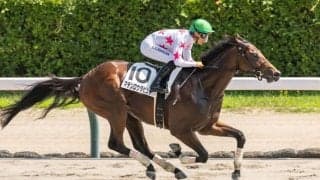 【新馬/新潟6R】外国産マテンロウダビンチが6馬身差圧勝