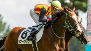 【新馬/新潟5R】良血ガローファノがデビューV…半兄はサトノグランツ