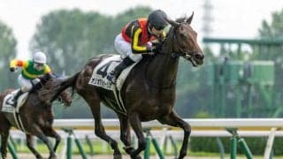 【新潟4R】レイデオロ産駒 オリオアルセーリオ人気に応える