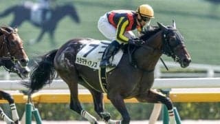 【京成杯AH】カラマティアノス、コントラポストらが登録