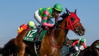 【新潟記念】坂井瑠「ポテンシャルを感じていた」シランケドが重賞2勝目