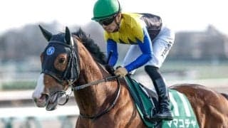 秋競馬が開幕！紫苑S・セントウルSなど4重賞/今週の競馬界の見どころ