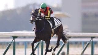 【紫苑S登録馬】桜花賞3着・リンクスティップなど15頭