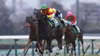 【京成杯AH登録馬】エリカエクスプレスなど16頭