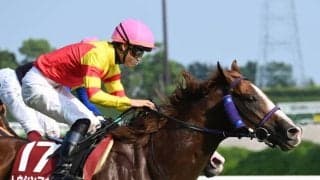 【セントウルS見どころ】今秋こそGI奪取をするトウシンマカオ