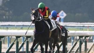 【紫苑S見どころ】春の鬱憤を晴らすリンクスティップ