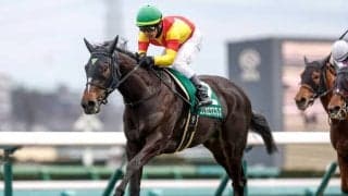 【京成杯AH見どころ】素質高い3歳牝馬エリカエクスプレスが巻き返す