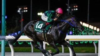 【大井・アフター5スター賞枠順】転入初戦快勝のファーンヒルは6枠11番