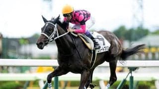 【札幌2歳S想定騎手】スマートプリエールは武豊騎手、ショウナンガルフは池添謙一騎手