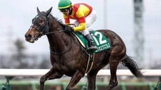 【京成杯AH想定騎手】エリカエクスプレスは戸崎圭太騎手、コントラポストは田辺裕信騎手