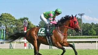 【新潟記念】売上は66億4504万7600円で昨年より約20億円の大幅増