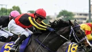 【紫苑S想定騎手】リンクスティップは北村友一騎手、ジョスランはC.ルメール騎手