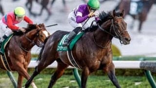 【佐賀・サマーチャンピオン枠順】さきたま杯3着のエンペラーワケアは2枠2番