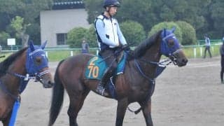 祖母はGI・6勝のブエナビスタ 日曜中山で初陣迎えるソラネルマン/関東馬メイクデビュー情報