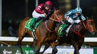 血統表でよく見る名馬「クレヴァートリック」とは？