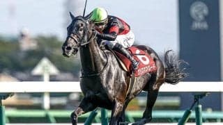 昨年の勝ち時計はレース史上唯一の1分56秒台 紫苑Sの勝ち時計ランキング