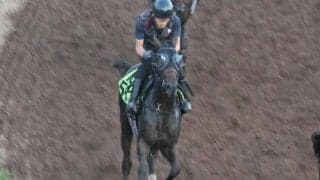 アランカールなど、先週の入厩情報/栗東トレセンニュース