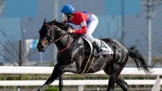 【大井・ゴールドジュニア枠順】連勝中のゴーバディは1枠1番 6頭立て