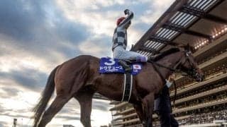 ドウデュースは202頭、イクイノックス＆ナダルは206頭 社台スタリオンステーションが今シーズンの交配頭数を発表  　