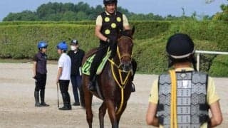 アメリカンダンスなど、先週のゲート試験/栗東トレセンニュース