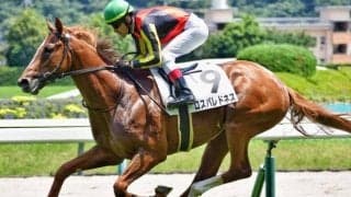 【札幌2歳S】全兄はジオグリフ ロスパレドネスがきょうだい制覇狙う