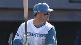 日本ハムが17安打で圧勝…助っ人が先制8号　西武は8回2死までノーノー継投、パ2軍戦