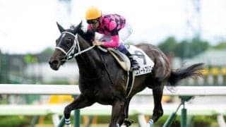 【札幌2歳S予想オッズ】スマートプリエールが予想1番人気