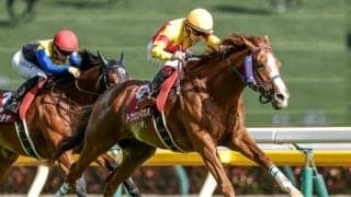 【セントウルS予想オッズ】トウシンマカオが予想1番人気