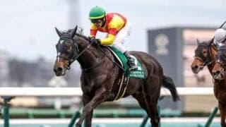 【京成杯AH予想オッズ】エリカエクスプレスが予想1番人気