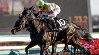 【京成杯AH展望】前走惜敗組が巻き返す！コントラポストが中心