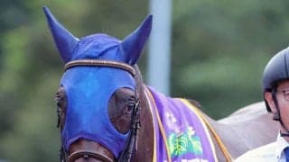 【盛岡・不来方賞】田中博師「大井へいきたい」断然人気ナルカミが圧勝