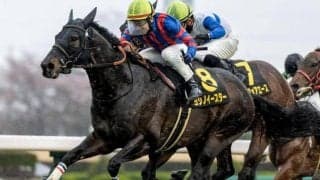 【セントウルS】中尾秀正調教師が12年ぶりのJRA重賞制覇へ ヨシノイースターが初タイトル狙う