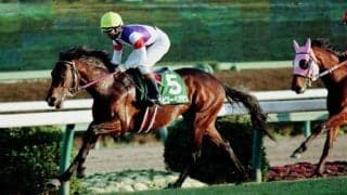 ビコーペガサスのセントウルSから30年 武豊騎手との1年9か月ぶりの勝利