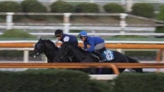 ライトトラック、神戸新聞杯2週前追い切り速報/栗東トレセンニュース