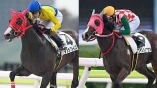 大井でノブワイルド＆エンパイアペガサスの産駒初勝利 ともに現役時代は地方競馬で活躍