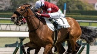 【紫苑S】「ウマ娘」の藤田晋オーナー セイキュートで牝馬初の重賞制覇狙う