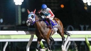 三冠馬誕生か、ライバルの巻き返しか 不来方賞を終えてジャパンダートクラシックの出走候補が出揃う