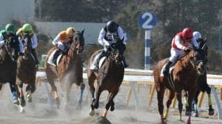 競馬学校からデビューの新人騎手が初めて0人　退学・留年者が相次ぎ