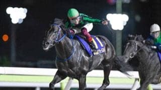 【大井・アフター5スター賞結果】ファーンヒルが直線半ばで抜け出し重賞連勝