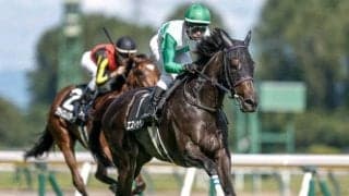 【紫苑S予想】ビッグレースでの経験が信頼に AIは妙味あるオッズがつきそうな馬を指名