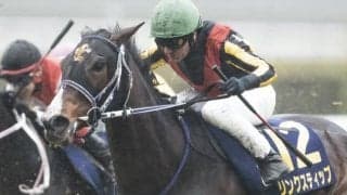 【紫苑S展望】前走オークス組が中心！GIからの臨戦馬が断然有利か