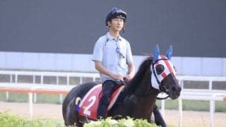 TCK所属ディクテオン、矢野貴之騎手とのコンビでコリアカップへ