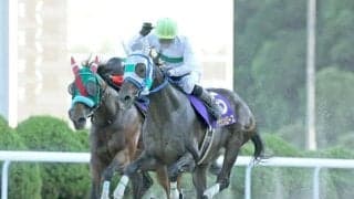 【佐賀・サマーチャンピオン注目馬】出走メンバーの半数が3歳馬 フレッシュな顔ぶれのダート短距離重賞