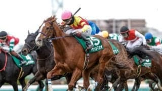 【セントウルS展望】前走GII組が好成績、実績馬トウシンマカオが中心