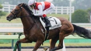 【札幌2歳S】セレクト2.1億円のショウナンガルフ 無傷2連勝で戴冠なるか