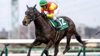 【京成杯AH出走馬・騎手確定】エリカエクスプレス＆戸崎圭太騎手、コントラポスト＆田辺裕信騎手など16頭