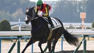 【紫苑S出走馬・騎手確定】リンクスティップ＆北村友一騎手、ジョスラン＆C.ルメール騎手など13頭
