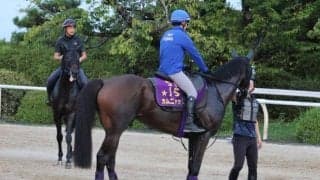 カムニャック、ローズS1週前追い切り速報/栗東トレセンニュース